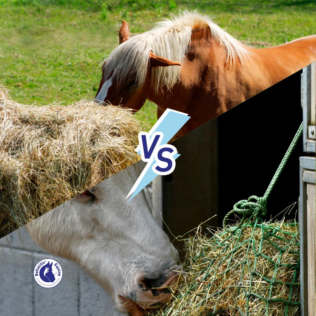 Slowfeeders pour chevaux