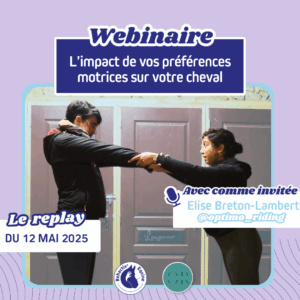 impact préférences motrices Elise webinaire