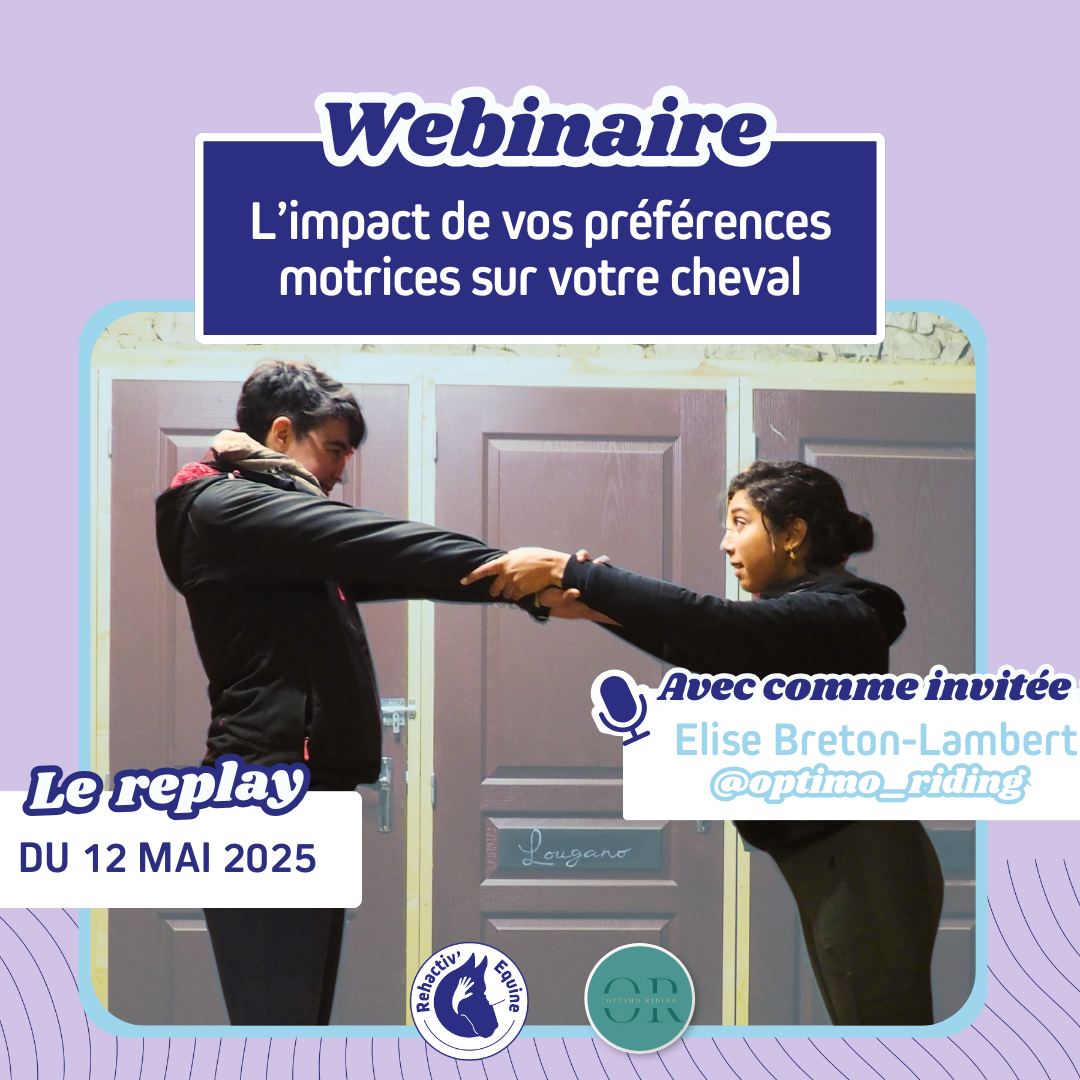 impact préférences motrices Elise webinaire