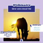gérer son cheval l'été