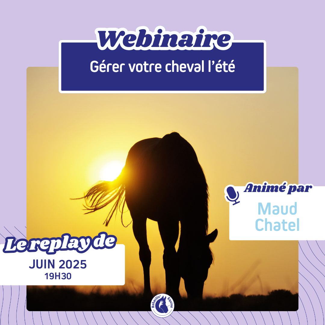 gérer son cheval l'été