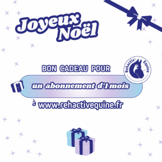 Bon cadeau Noël