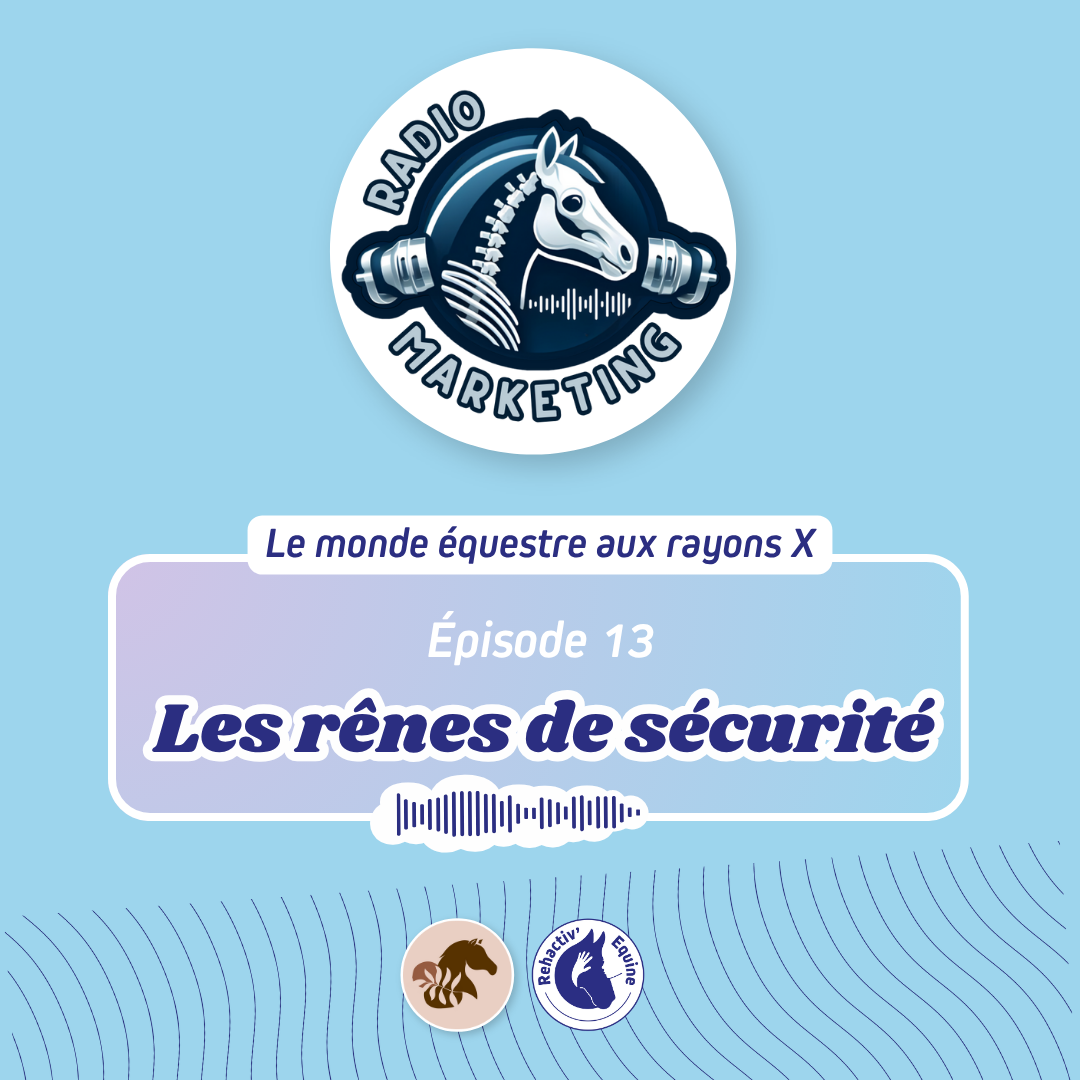 Les rênes de sécurité : Radio Marketing