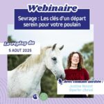 Le sevrage du poulain