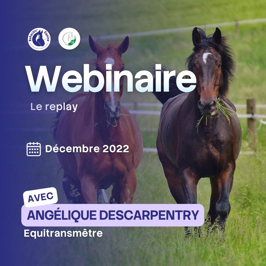 Angélique Descarpentry Alimentation