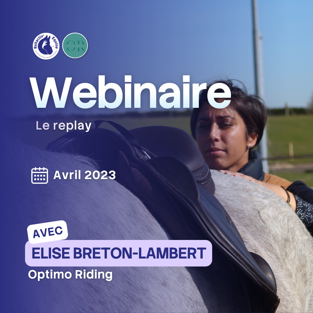 Élise Optimo- Selle adaptée