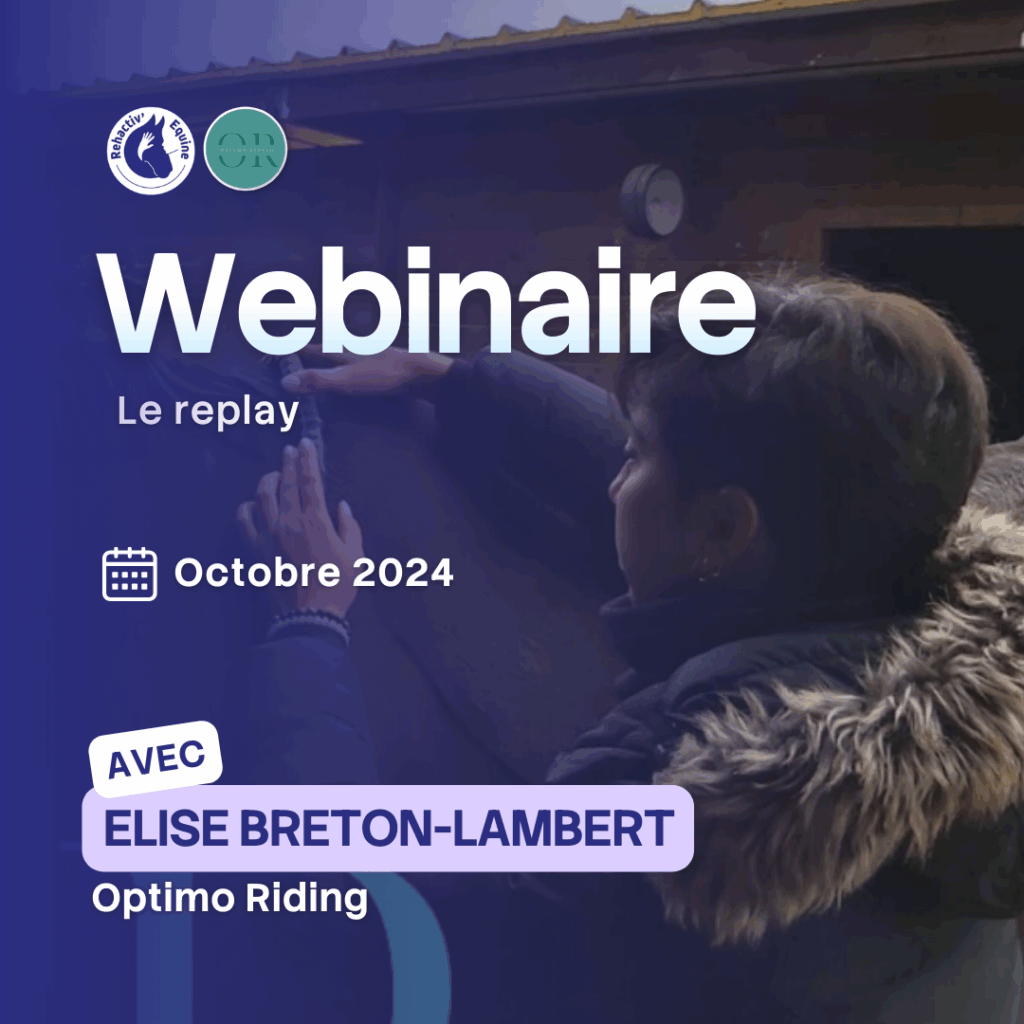 Élise Optimo Rdiing-les accessoires de selle