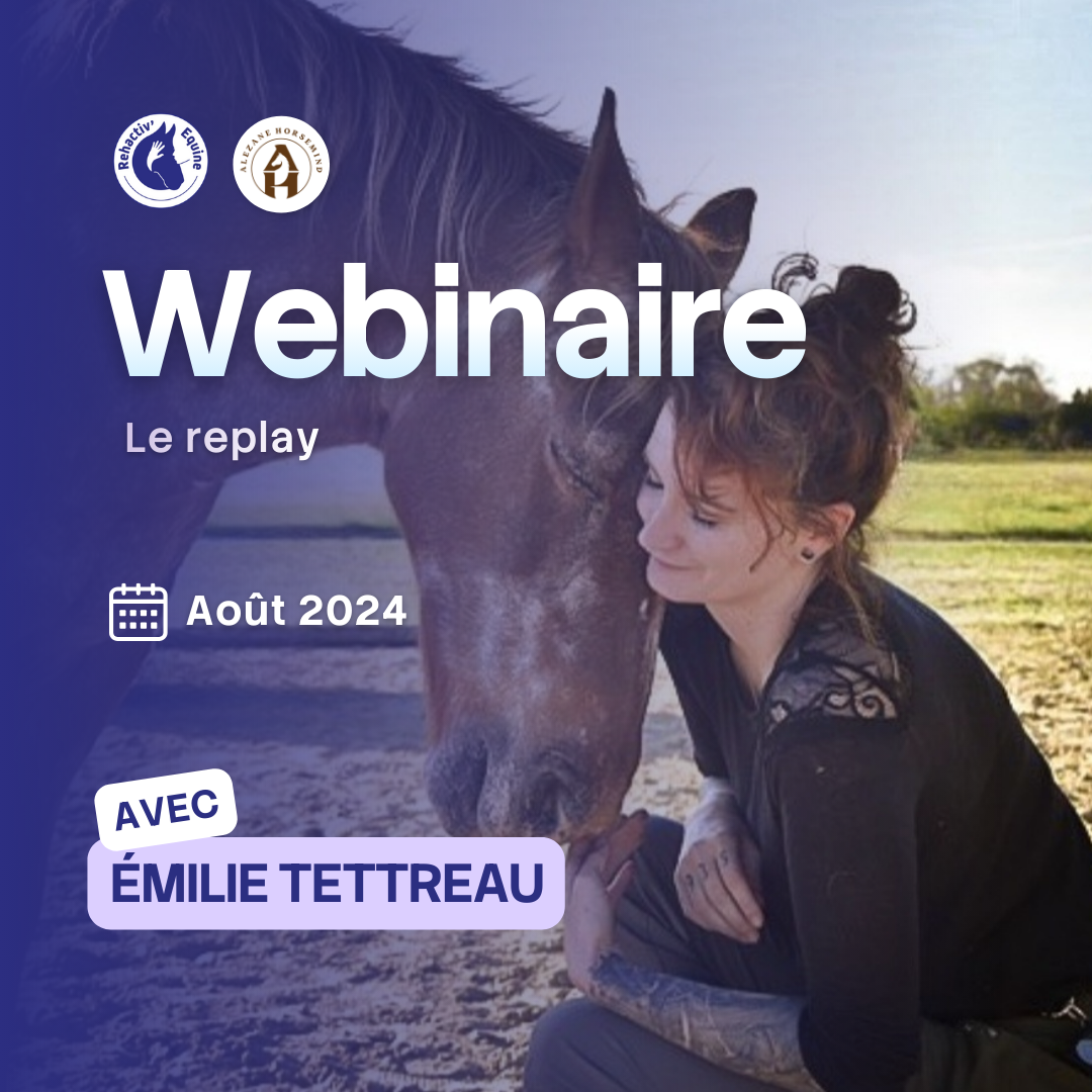 Emilie, alezane horse mind, le cheval au coeur de nos envies