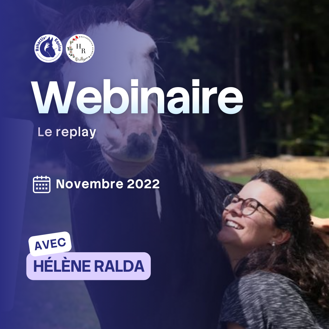 Helene ralda drainage et détox du cheval