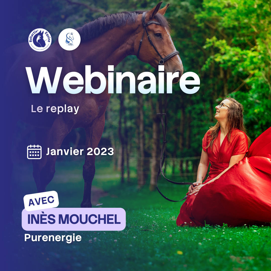 Ines purenergie - soin énergétique et science