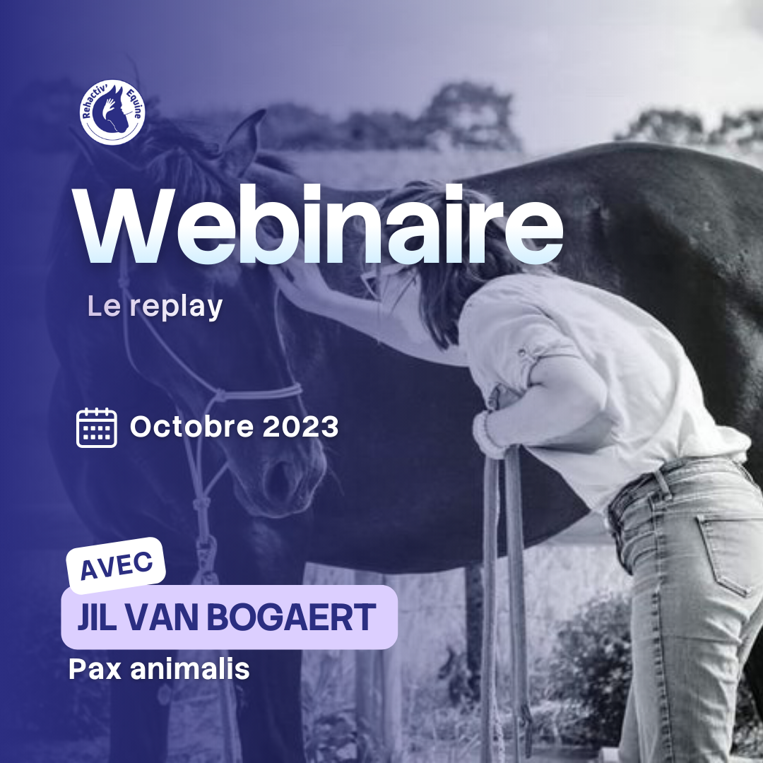 Jil Pax animalis - soin coopératif