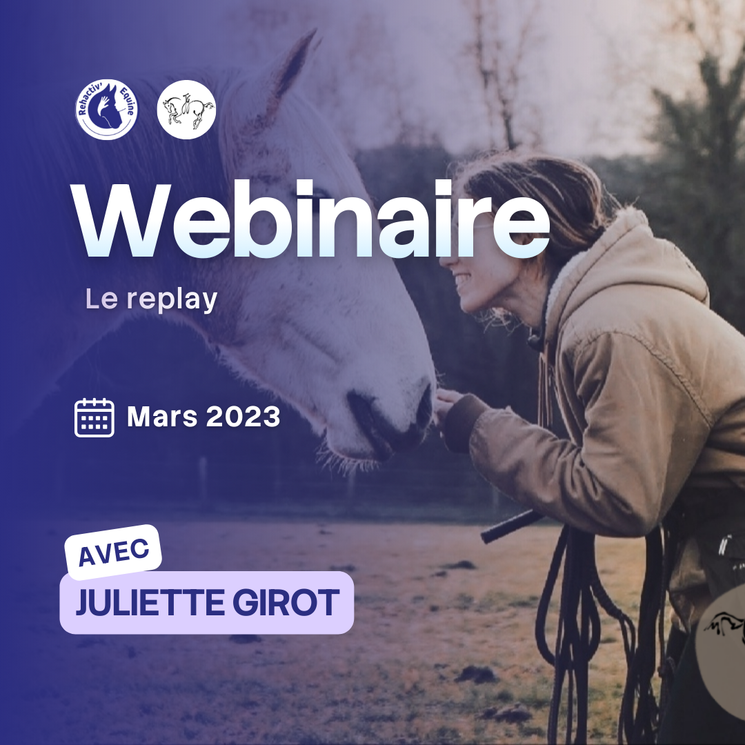 Juliette bien etre et bien traitance du cheval en équitation