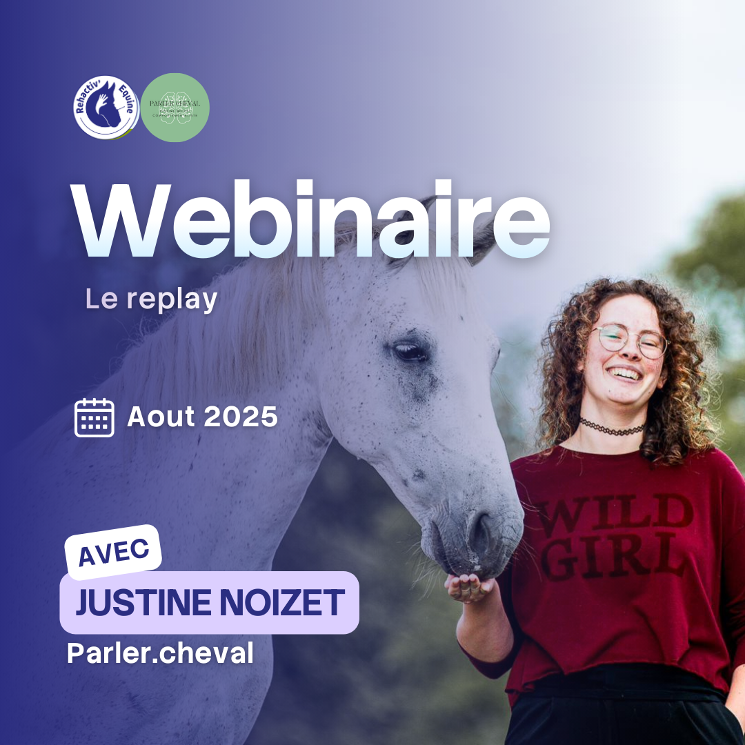 Justine Noizet _ sevrage du poulain