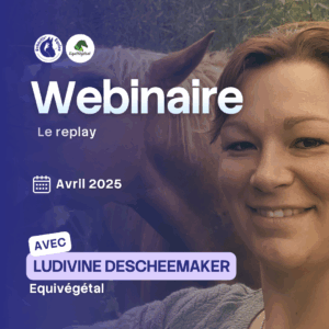 Ludivine arbres fourragers