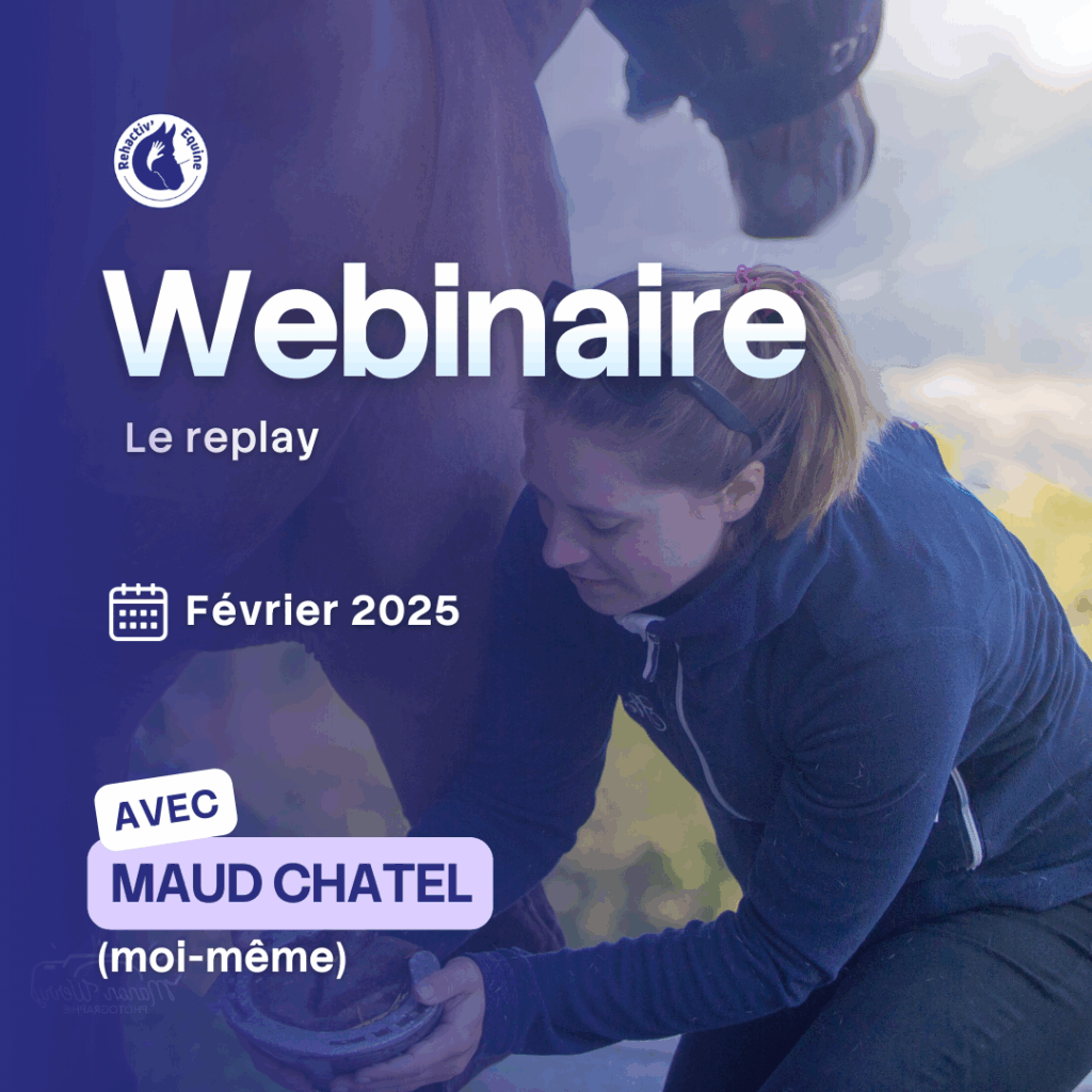 Webinaire Arthrose Rehactiv'Equine