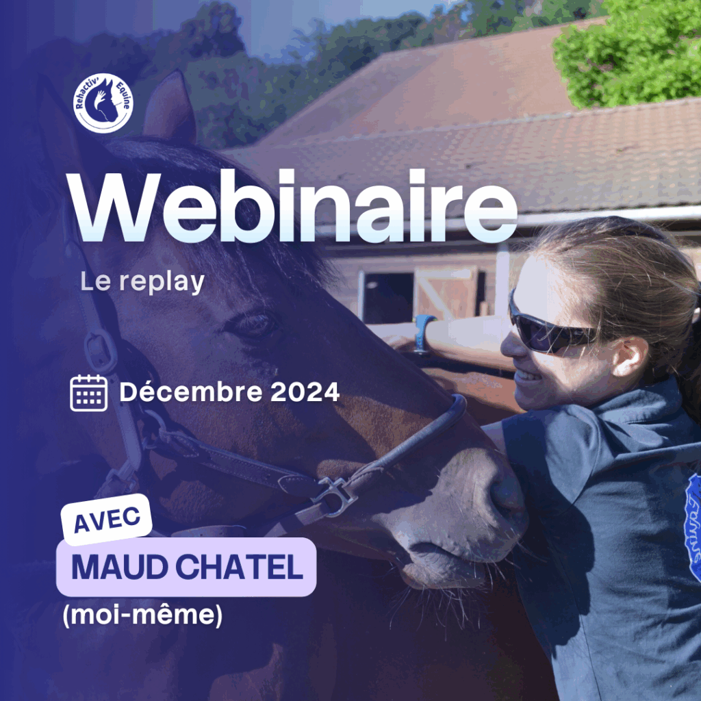 Webinaire échauffement du cheval Rehactiv'Equine