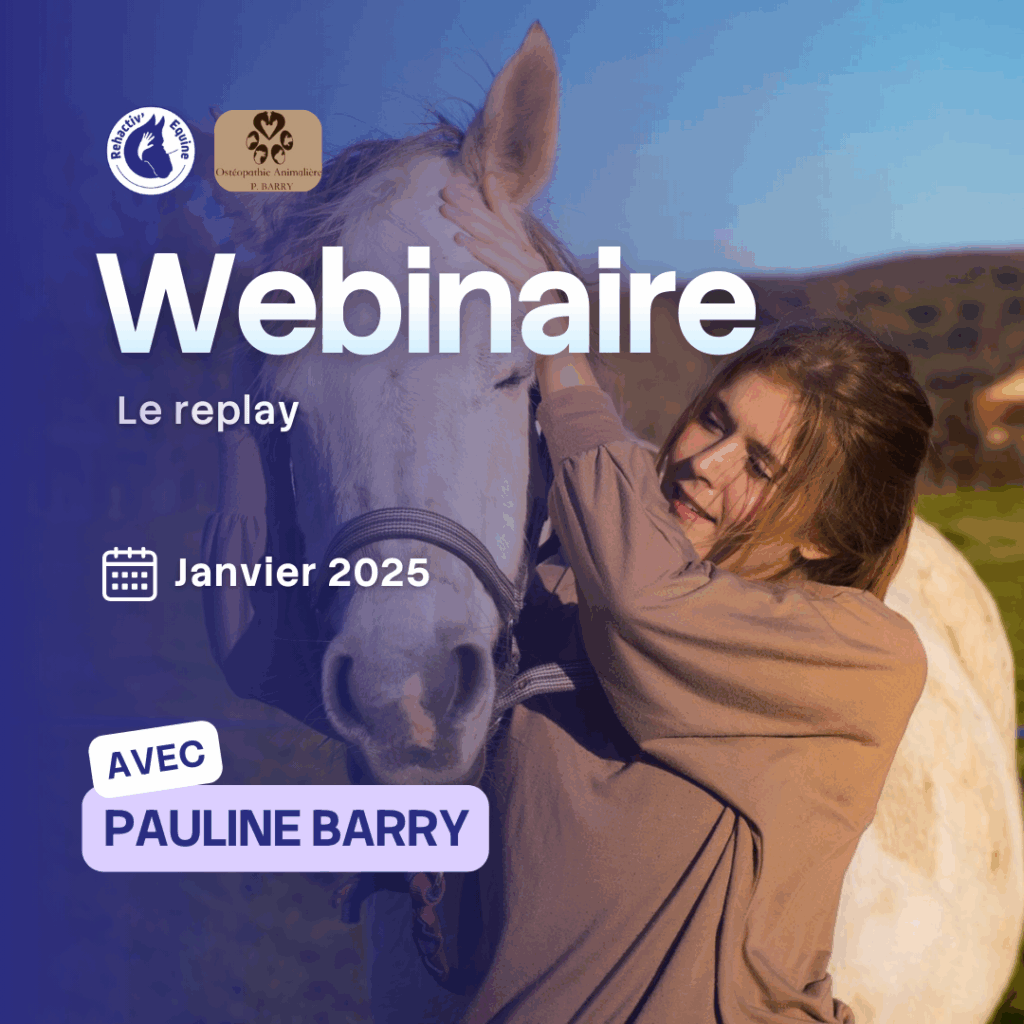 Webinaire le crâne du cheval avec Pauline Barry