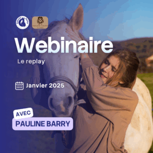 Webinaire le crâne du cheval avec Pauline Barry