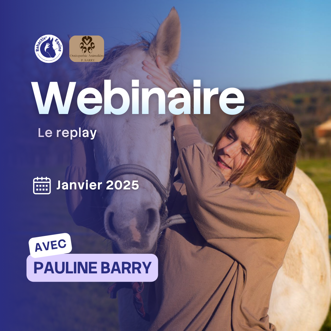 Webinaire le crâne du cheval avec Pauline Barry