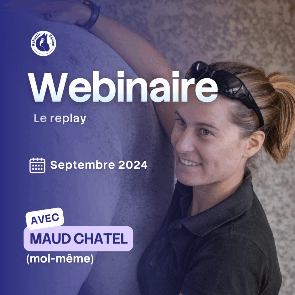 Webinaire préparation physique du cheval Rehactiv'Equine