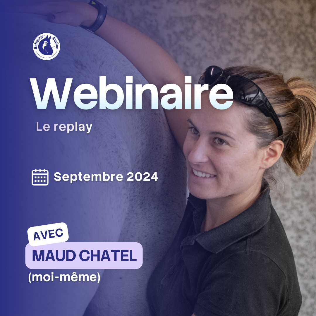 Webinaire préparation physique du cheval Rehactiv'Equine