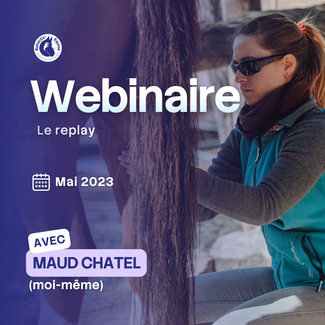Webinaire prévenir et guérir une tendinite