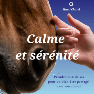Ebook- stress : calme et sérénité - couverture