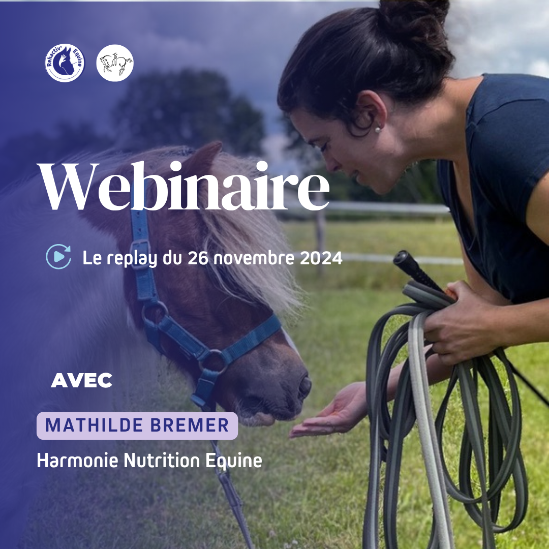 replay mathilde webinaire
