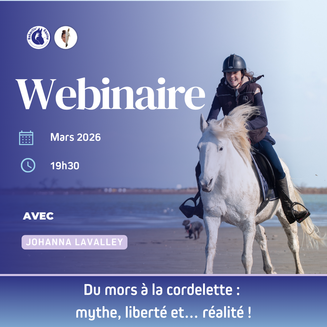 webinaire Johanna cordelette
