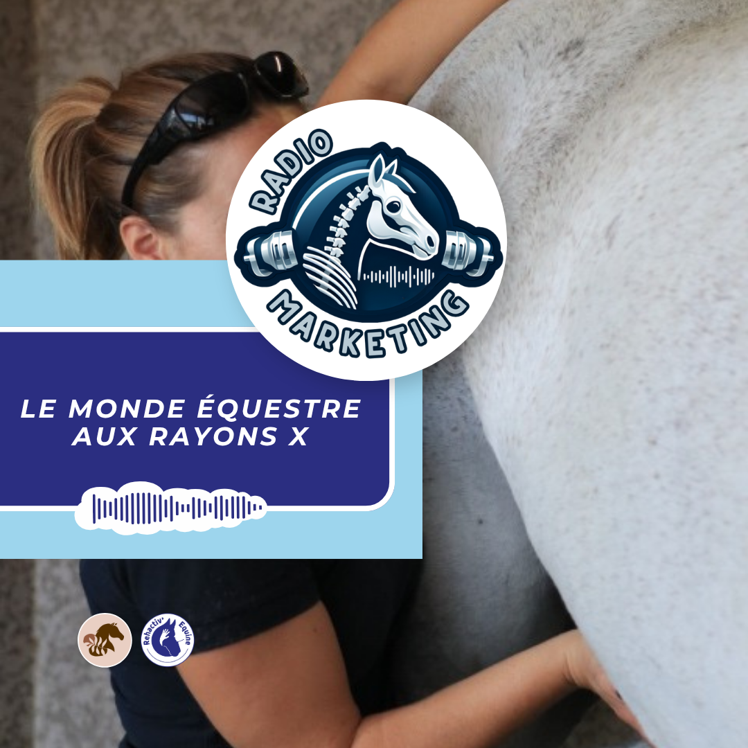 Lotion de massage our le cheval