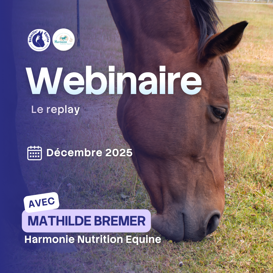 Mathilde Harmonie nutrition, replay le rôle de l'alimentation