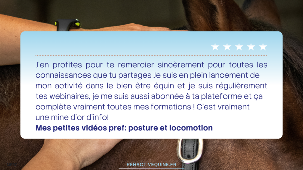 Formation posture et locomotion du cheval