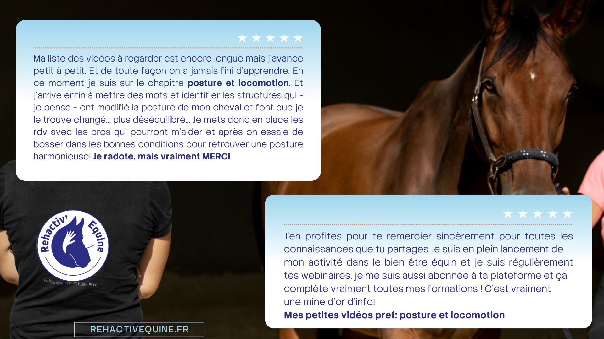 Formation posture et locomotion du cheval