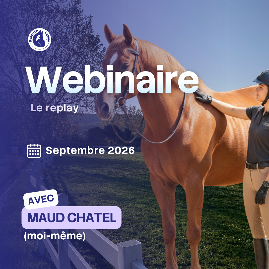 Préparer son cheval pour bien le muscler